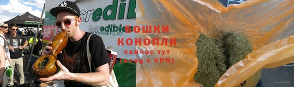 трава Богданович