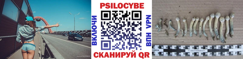 OMG   дарнет шоп  Волосово  Галлюциногенные грибы мухоморы 